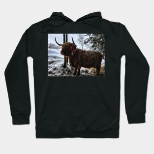 Scottish Highland Cattle Cow 1633 Hoodie